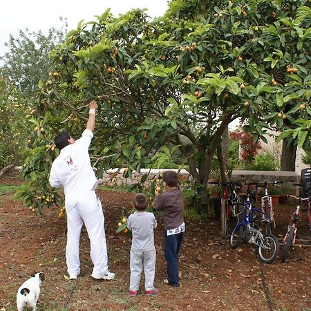 ホテルAgroturismo Can Gall サン・ホアン・デ・ラブリチャ エクステリア 写真